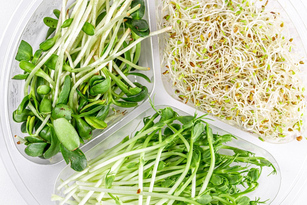 Microgreens